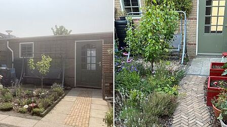 Op de afbeelding zijn twee foto's te zien. Op de linkse foto is de oude situatie van de tuin te zien waar veel tegels en weinig planten zijn. Op de rechtse foto zie je de nieuwe situatie waar veel planten zijn en weinig tegels liggen.