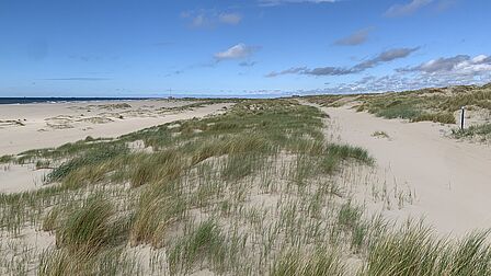 Op de foto is een strand met duinen te zien. De lucht is blauw met enkele wolken.