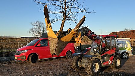 Een gele graafmachine houdt een boom vast.