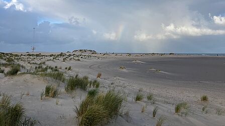 Het Groene Strand
