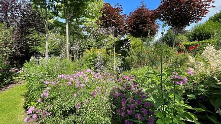 Op de foto zijn veel bloemen, planten en bomen in de tuin te zien.