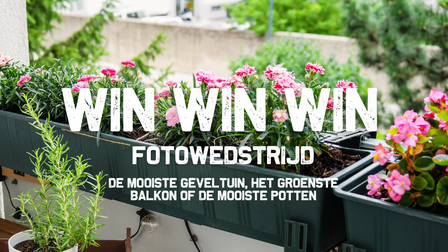 Op de foto zijn bloemen in potten te zien met voorop een witte tekst. Daarop staat de tekst: Win Win Win. Fotowedstrijd. De mooiste geveltuin, het groenste balkon of de mooiste potten