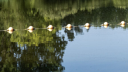 Water van het Prinsenbos